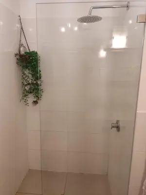 a shower with a glass door with a plant at Departamento Costa Verde San Miguel in Lima