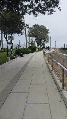 an empty sidewalk with trees and a fence at Barranco sea in Lima