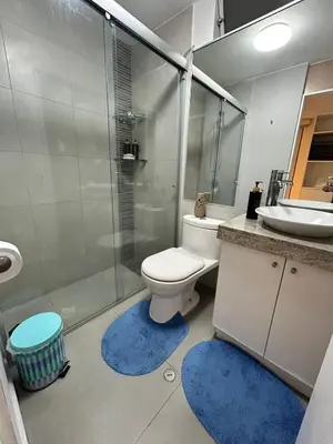 a bathroom with a toilet and a shower and a sink at Duplex penthouse in Miraflores with terrace in Lima