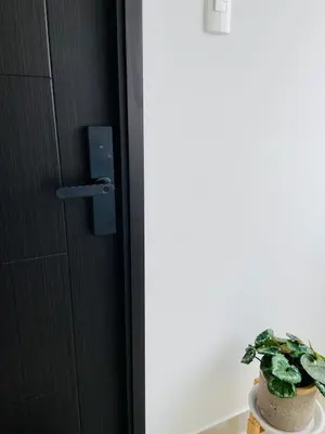 a plant sitting on a table next to a door at Moderno Smart Home San Miguel - Self check in in Lima