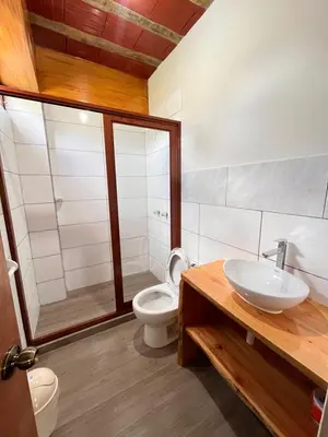 a bathroom with a toilet and a sink and a shower at Hassinger Haus in Oxapampa