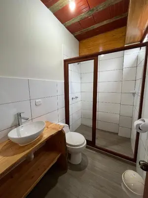 a bathroom with a toilet and a sink and a shower at Hassinger Haus in Oxapampa