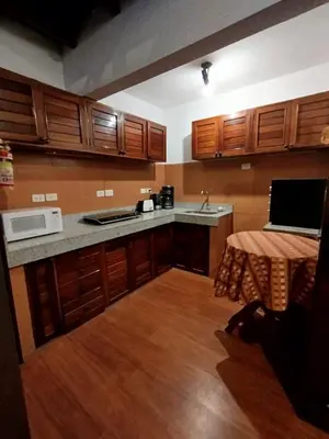 a kitchen with wooden cabinets and a counter top at Casa Cota in Lima