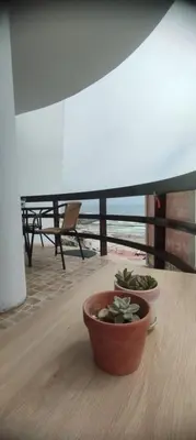 two bowls of plants sitting on a table with a view of the ocean at Departamento en Playa Pulpos - 2 habitaciones - Piscina compartida in Arica