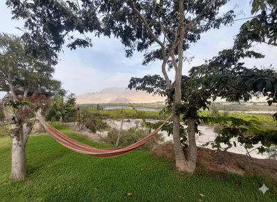 a hammock hanging between two trees in a field at Casa de campo El paraiso cerca a Lima in Nuevo Imperial