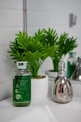 a bottle of soap and a potted plant on a counter at Huaral House Piscina y Terraza in Huaral