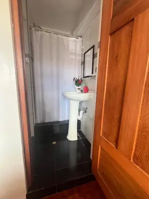 a bathroom with a white sink and a shower curtain at Legendary Rock Cusco Apartment in Cusco