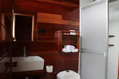 a bathroom with wooden walls and a sink and a toilet at Alpinas Natural Suites in Lunahuaná