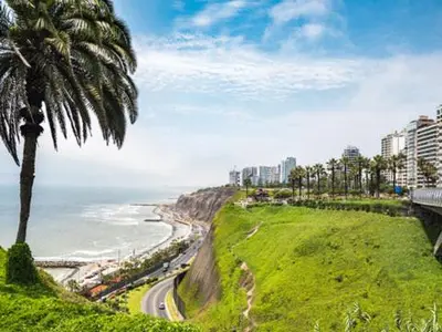 a palm tree on a hill next to the ocean at Loft en Barranco in Lima
