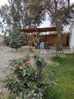 a garden with a gazebo and some flowers at Casa rústica in Ica