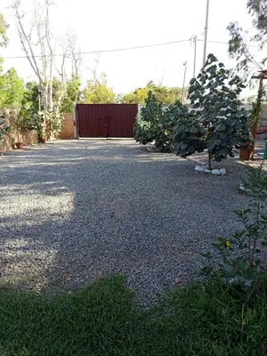 a gravel driveway with trees and a red fence at Casa rústica in Ica