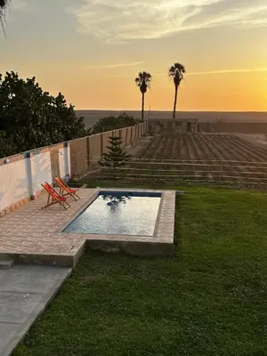 a swimming pool in the grass with palm trees at Casita de Campo y Relax con Piscina in Cerro Azul