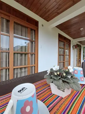 a room with a table with a plant on it at Cabaña BellaVista in Oxapampa