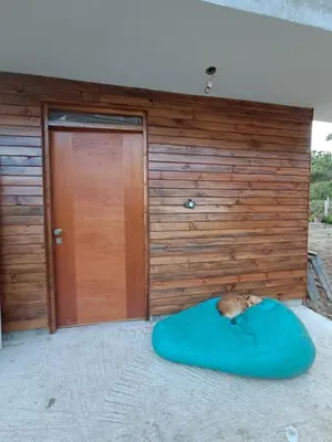 a dog laying on a blue pillow in front of a building at Cabaña BellaVista in Oxapampa