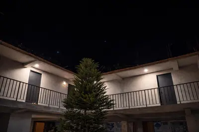 a christmas tree in front of a building at night at Posada El Pino