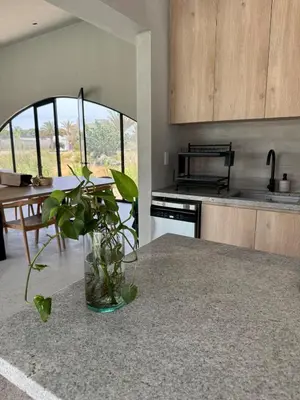 a kitchen with a vase with a plant on a counter at Beautiful house with pool in Oasis Bahía de Paracas in Las Palmeras