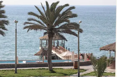 a palm tree sitting next to a swimming pool at Departamento con Vista al Mar - Paracas - Condominio Nautico Las Velas in Paracas
