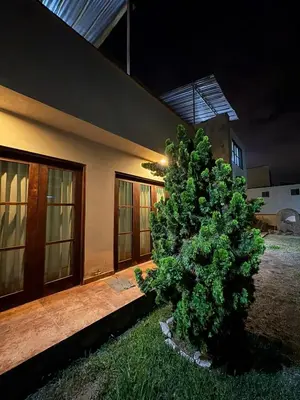 a large green tree in front of a house at Casa de campo Rosenthal - Cieneguilla in Panquilma