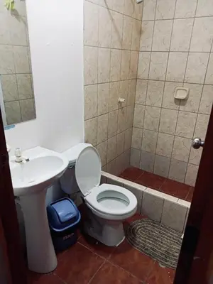 a bathroom with a toilet and a sink and a shower at Departamento de tres habitaciones amplio in Lima