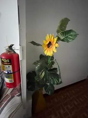 a yellow flower in a vase next to a fire hydrant at HOSPEDAJE VISTA Del SOL PARACAS in Paracas