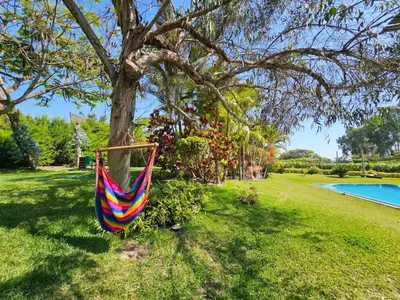 a hammock hanging from a tree next to a pool at Spacious 4BR Country House with Pool in Mala in Asia