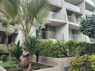 a building with palm trees in front of it at Condominio Ocean Reef Playa Norte San Bartolo in San Bartolo