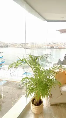a palm tree in a room with a large window at Infinitive view San Bartolo in San Bartolo