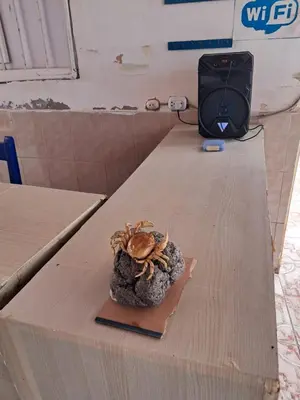 Gallery image of Hostal Los Angeles in Lima