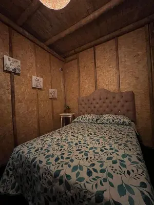 a bedroom with a bed in a room with wooden walls at Tres Gatos Paracas in Paracas