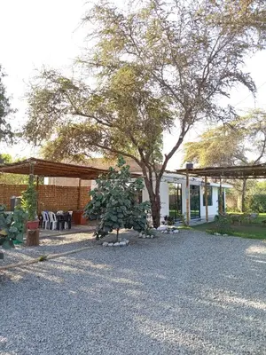 a christmas tree in front of a house at Casa Rústica in Ica