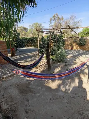 a hammock tied to a tree in a yard at Casa Rústica in Ica