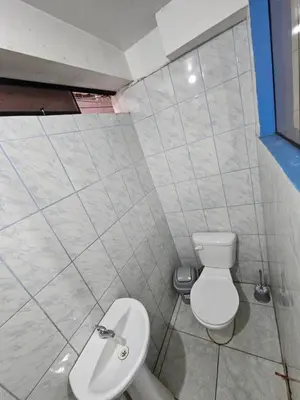 a bathroom with a toilet and a sink at Pantaq hostal in Cusco