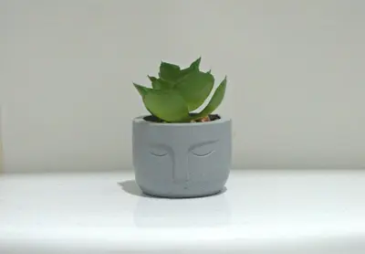 a grey vase with a green plant in it at Cesar's Apartment - Los Laureles in Lima