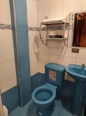 a bathroom with a blue toilet and a sink at Rouse Hostal Confort in Huancayo