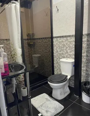 a bathroom with a toilet and a shower at Casa La Morada Ecolodge in Ayacucho