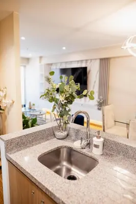 a kitchen sink with a vase with a plant on it at Salaverry Luxury Apartment in Lima