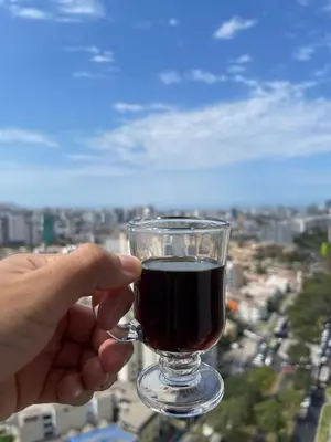 a person holding a glass of wine in front of a city at Salaverry Luxury Apartment in Lima