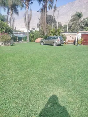 a shadow of a person standing on the grass at Nice country house with a swimming pool and large garden in Cieneguilla