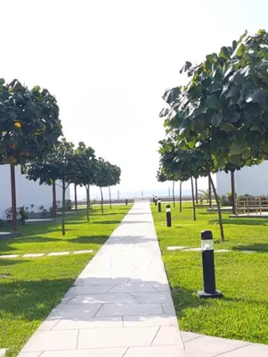 a walkway in a park with trees and grass at Vacaciones sin Estres, ambiente relajado y familiar in San Antonio
