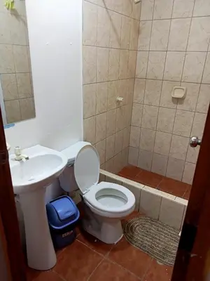 a bathroom with a toilet and a sink at Departamento 2 dormitorios 4B in Lima