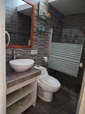 a bathroom with a toilet and a sink and a mirror at Front Beach House nearby Playa Asia in Lima, Peru! in Cerro Azul