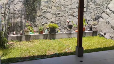a group of potted plants on a stone wall at Casa Portada del Sol La Molina in Lima