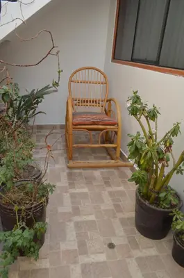 a chair sitting in a room with potted plants at Qhawarina Hostel Ollantaytambo in Ollantaytambo
