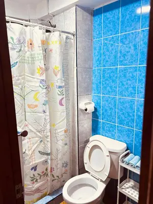 a bathroom with a toilet and a shower curtain at Casa de Paz in Cusco