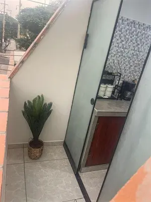 a mirror on the side of a building with a plant at Equipped Loft with Sofa Bed and Balcony in Lima