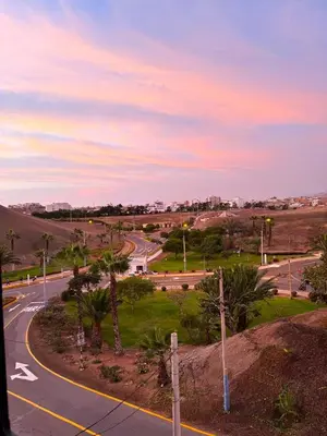 an empty street with palm trees and a road at Exclusivo departamento cerca al mar in Quebrada Seca