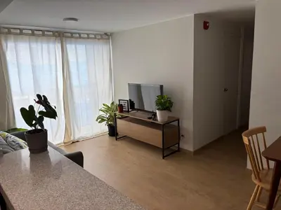 a living room with a tv and a table with plants at Amplia habitación con baño propio a 20 min del aeropuerto in Lima