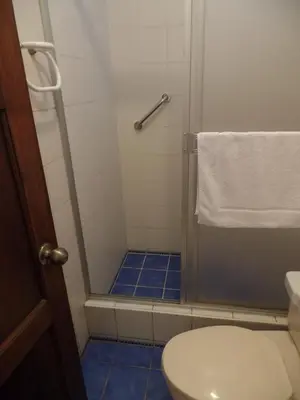 a bathroom with a shower with a toilet at El Patio Miraflores in Lima