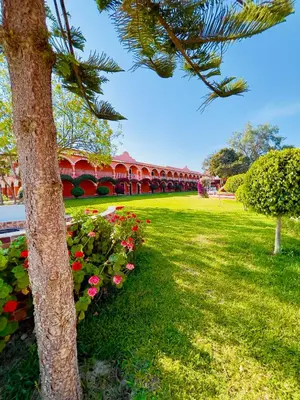 a palm tree and some flowers in a park at Hacienda San Juan Resort in Ica