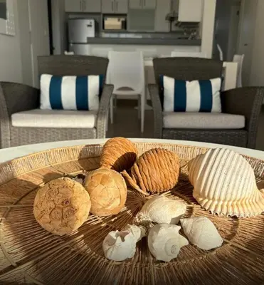 a plate with different types of shells on a table at ooo OCEAN VIEW APARTMENT PARACAS SOTAVENTO ooo in Paracas